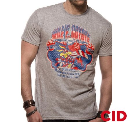 CID Looney Tunes Wile E Coyote