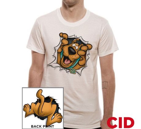 CID Scooby Doo Tour Poster copy