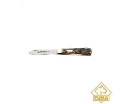 PUMA hunting pocket knife