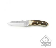 PUMA IP ebro, stag