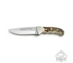 PUMA IP outdoor hunter, stag