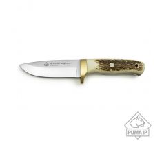 PUMA IP elk hunter, stag