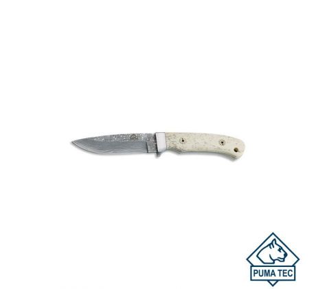 PUMA TEC damascus belt knife