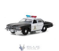 1/64 Pontiac Lemans Denton, Texas Police 1977